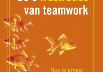 De vijf frustraties van een team – Patrick Lencione