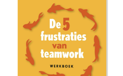 De vijf frustraties van een team – Patrick Lencione